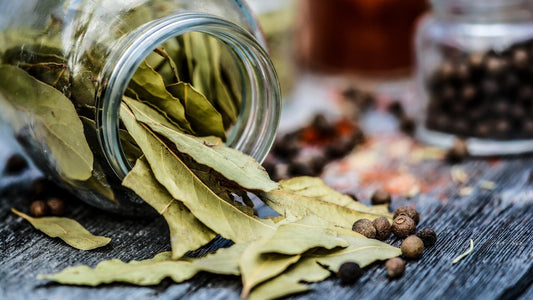 Queimar folha de louro: tradição, aroma e atmosfera única