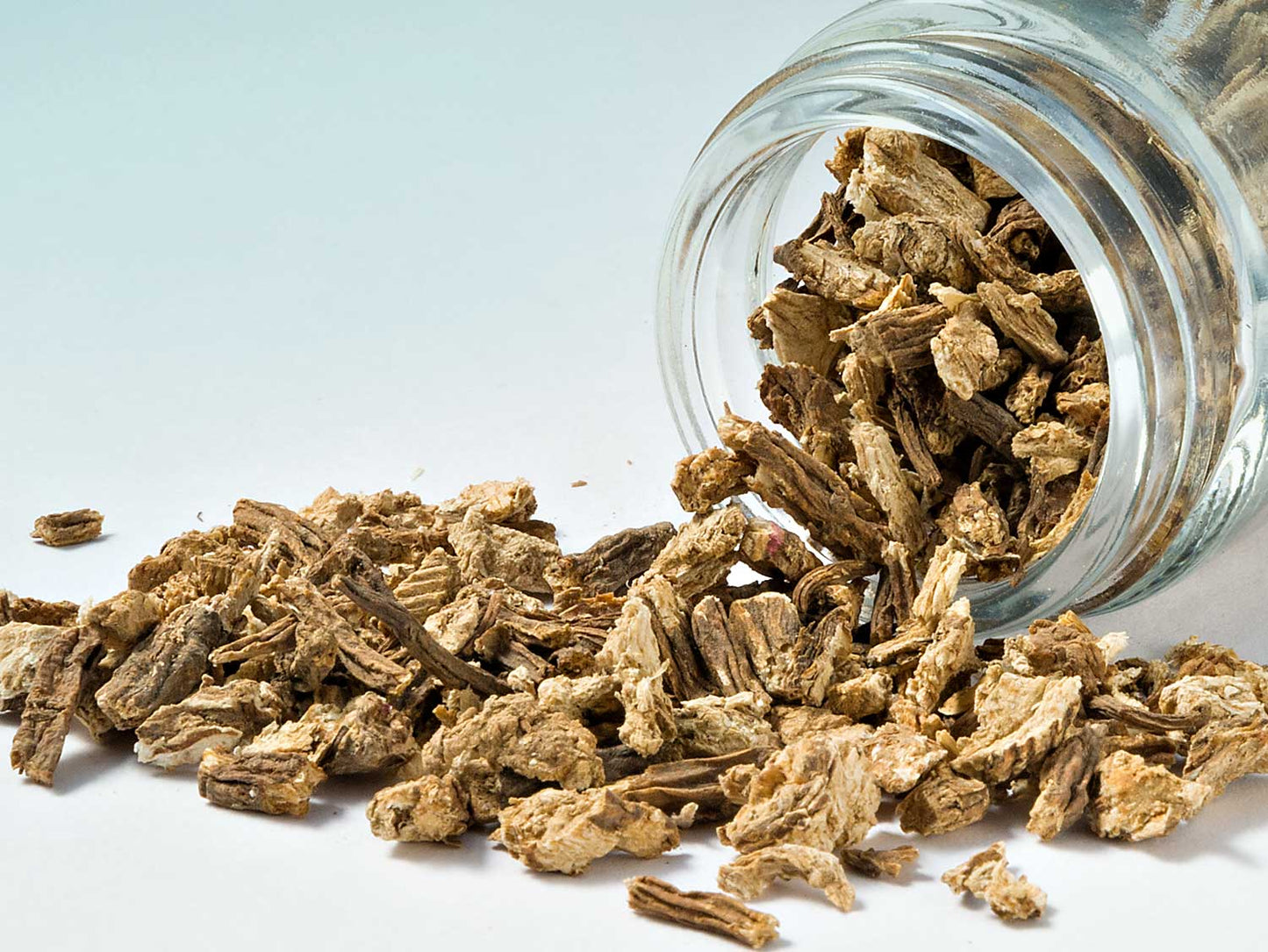 Raiz de Angélica 30g
