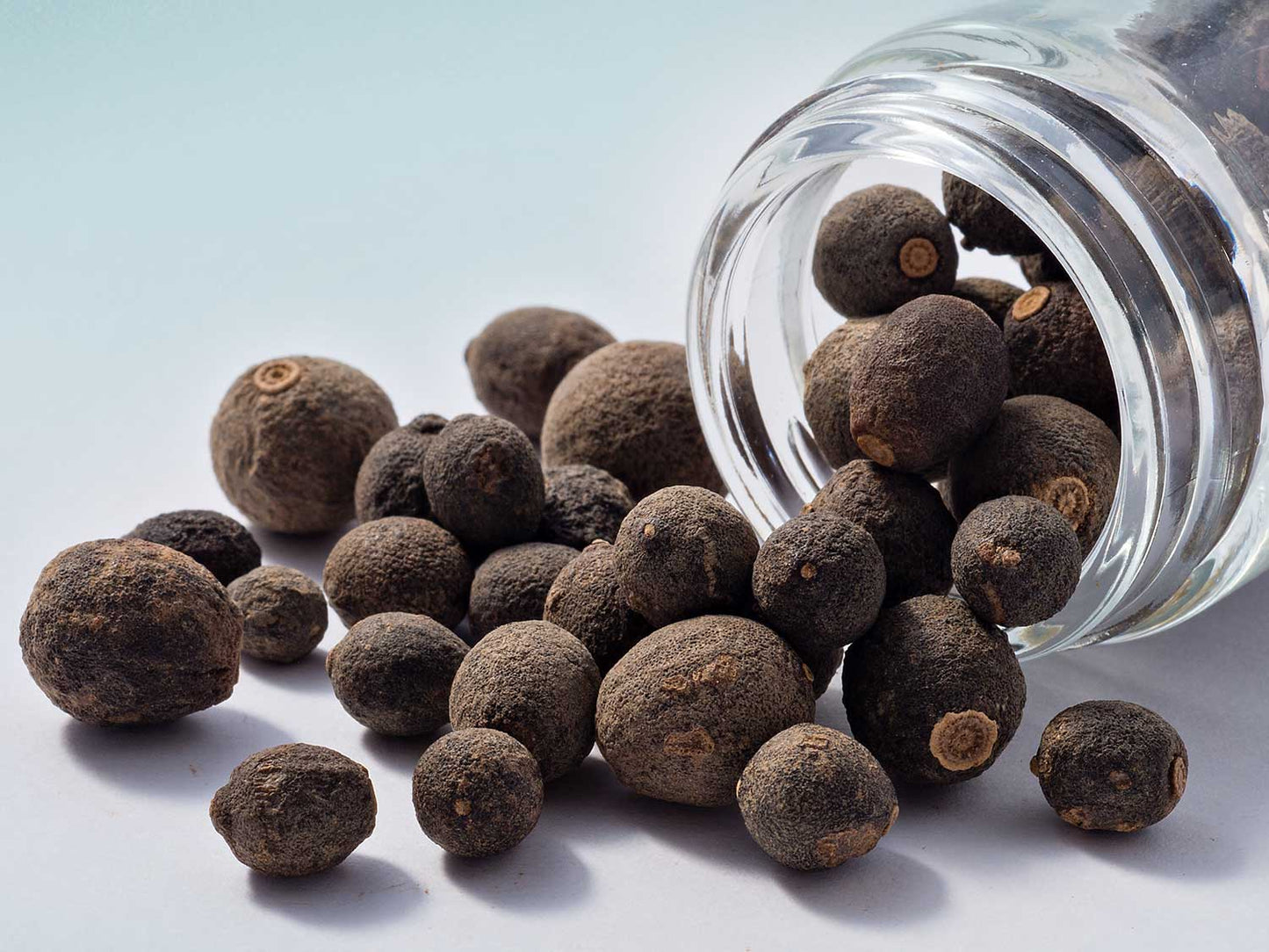 Laranjas desidratadas 40g
