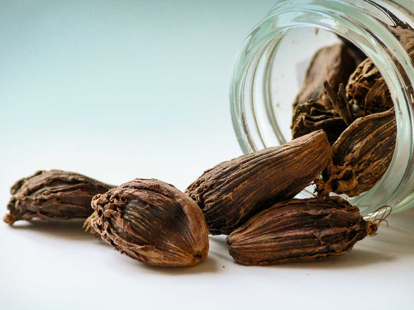 Cardamomo preto 20g