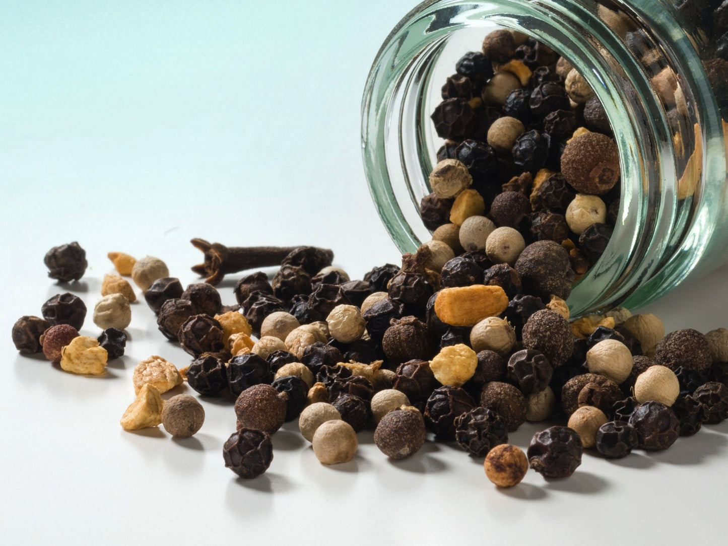 Mix de Pimentas Renascentistas 40g
