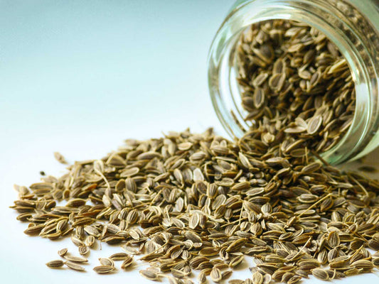 Sementes de endro 50g