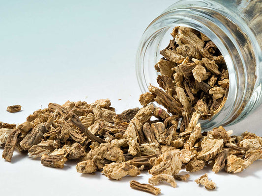 Raiz de Angélica 30g